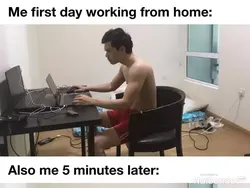 Meme Kocak Gambarkan Kondisi saat WFH, Awas Ketiduran