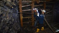Bagaimana menurut Anda detikers?
