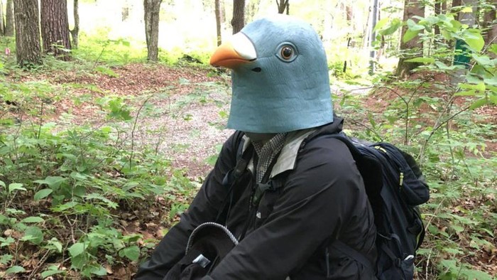 Peneliti di Jepang menyamar menjadi burung raksasa selama setahun.