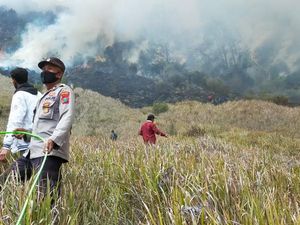 Kebakaran Bromo Rusak Ekosistem Tumbuhan-Satwa Langka