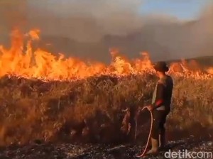 Segini Biaya Simaksi Prewedding yang Tak Diurus Para Pemicu Kebakaran Bromo