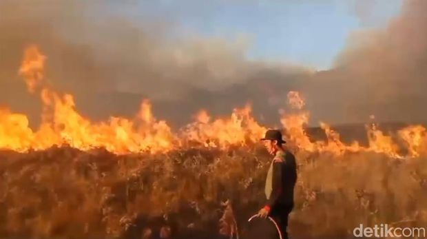 Proses pemadaman kebakaran Bukit Teletubbies Bromo akibat ulah pengunjung.
