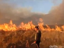 Nasib Wisata Bromo Usai Bukit Teletubbies Kebakaran Akibat Flare Prewedding