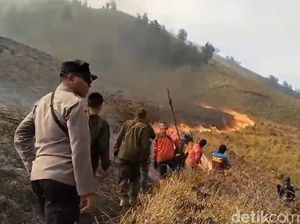 Prahara 50 Hektare Lahan Bromo Terbakar gegara Flare Prewedding