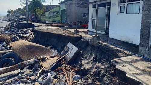 Kondisi abrasi Pantai Pebuahan, Desa Banyubiru, Kecamatan Negara yang semakin parah beberapa waktu lalu.