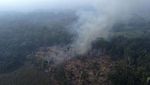 Amazon Kembali Dihabisi Kebakaran Hutan