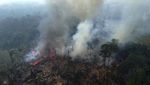 Amazon Kembali Dihabisi Kebakaran Hutan
