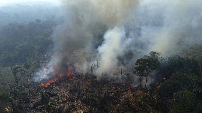 Amazon Kembali Dihabisi Kebakaran Hutan A forest burns in the Amazon in the municipality of Manaquiri in Brazil's Amazonas state, Wednesday, Sept. 6, 2023. (AP Photo/Edmar Barros)