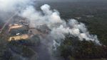Amazon Kembali Dihabisi Kebakaran Hutan