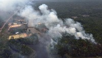 Menurut data dari Brazil’s National Institute for Space Research (INPE), sekitar 76.000 kebakaran hutan terjadi di seluruh Amazon, Brasil. Jumlah tersebut meningkat lebih dari 80 persen dibandingkan periode waktu yang sama tahun sebelumnya.  