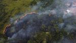 Amazon Kembali Dihabisi Kebakaran Hutan