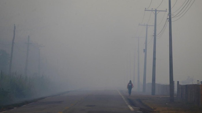 Amazon Kembali Dihabisi Kebakaran Hutan A forest burns in the Amazon in the municipality of Manaquiri in Brazil's Amazonas state, Wednesday, Sept. 6, 2023. (AP Photo/Edmar Barros)