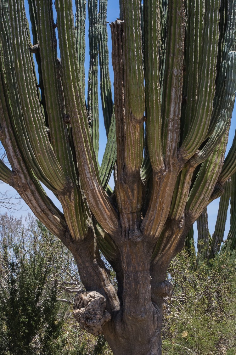BMC Ecology Image Competition