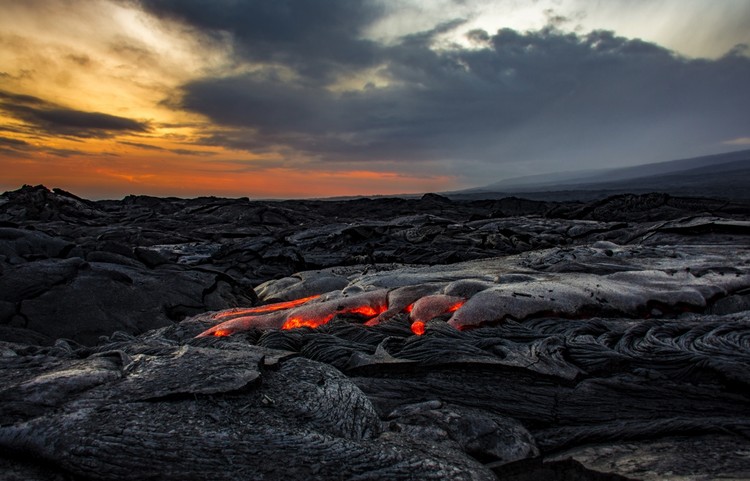 BMC Ecology Image Competition