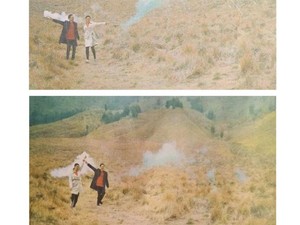 Tawaran Foto Prewedding Sulut Kebakaran Bromo Ancam Punahkan Flora Langka