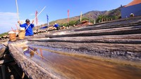 Untuk kunjungan ke tambak garam Amed, para tamu dapat mempelajari seni mendulang garam secara tradisional yang saat ini mulai hilang. Selain mengetahui seni mendulang garam, para tamu juga dapat mencicipi garam unik di daerah Amed. Foto: dok. Conrad Bali