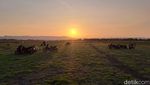 Sunset di Padang Rumput Waduk Gajah Mungkur
