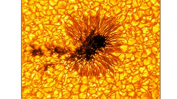 Bintik Matahari tidak ada selamanya. Mereka bertahan selama kira-kira sepekan dan bertambah jumlahnya dan menyusut seiring kemajuan Matahari melalui siklus aktivitas 11 tahunnya. Foto: National Solar Observatory