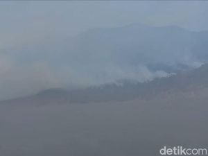 Personel Tambahan Dikerahkan Padamkan Kebakaran Hutan di Bromo