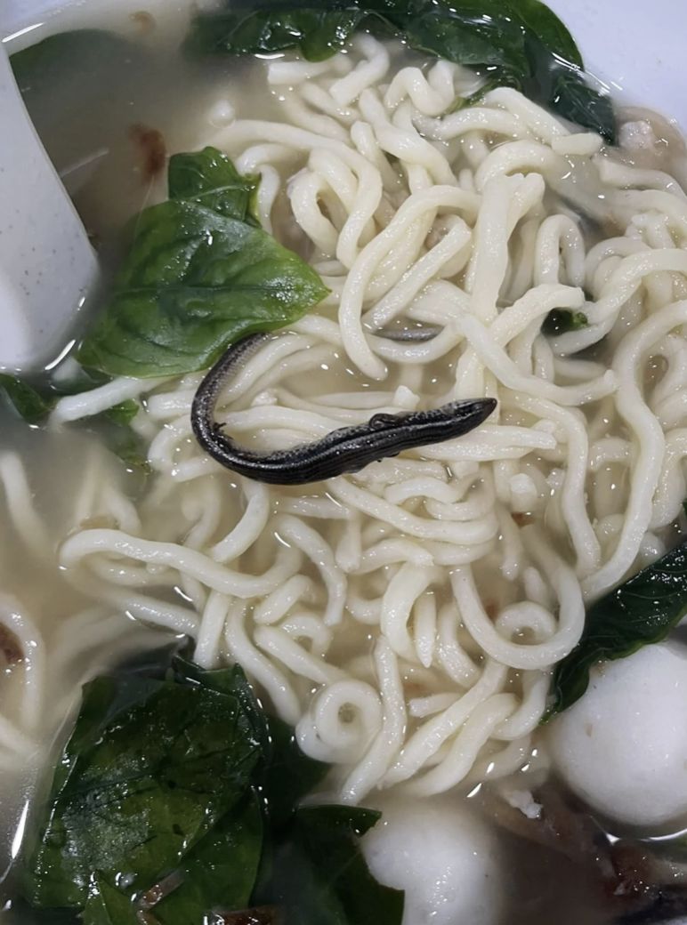 Kaget Temukan Kadal di Mie, Wanita Ini Diajak ke RS oleh Penjual Mie