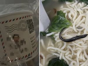 Kaget Temukan Kadal di Mie, Wanita Ini Diajak ke RS oleh Penjual Mie