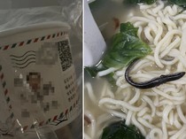 Kaget Temukan Kadal di Mie, Wanita Ini Diajak ke RS oleh Penjual Mie