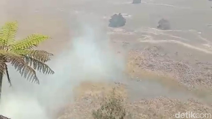 Kebakaran di Bromo berpotensi menyebabkan flora dan fauna langka hilang dan masyarakat mengalami gangguan pernapasan.