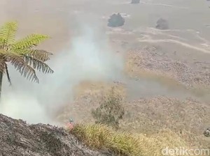 Kebakaran Bromo Berdampak Hilangnya Flora Fauna Langka hingga Penyakit ISPA