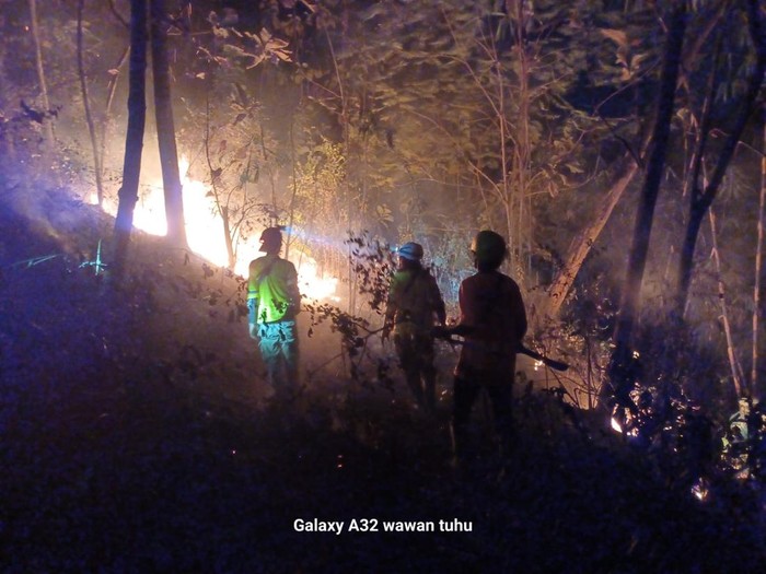 Kebakaran lahan di Gunung Pegat, Kecamatan Bayat, Klaten, pada Juli 2023 lalu.