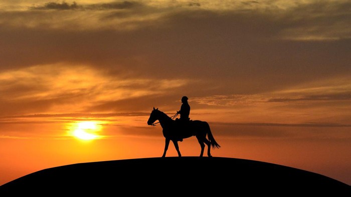 Horseback rider at sunset