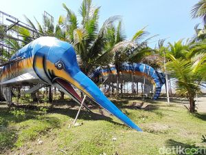 Ikan Marlin dari Duit Rakyat Rp 1,8 M di Pangandaran yang Telantar