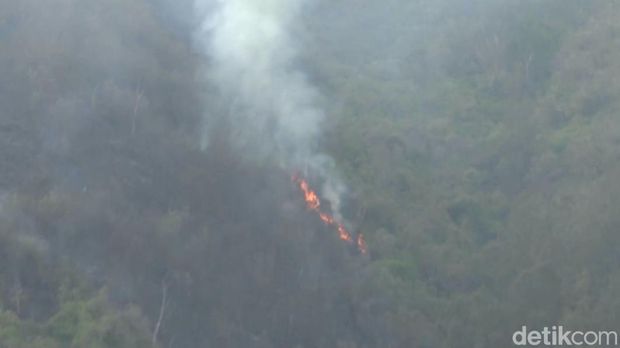 Penampakan Bukit Teletubbies Bromo saat masih tersisa 1 titik api yang belum padam.