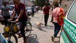 Potret India Sibuk Tangkap Ratusan Anjing Liar Jelang KTT G20