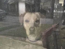 Potret Kesialan yang Dialami Warganet, Bikin Ngelus Dada