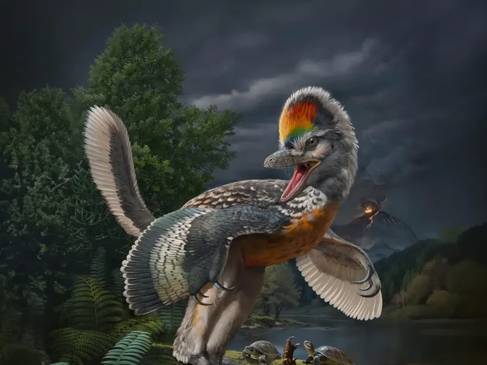 Rekonstruksi dinosaurus Fujianvenator prodigiosus