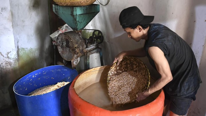 Pekerja menyelesaikan pembuatan tempe di Sentra Tempe, Rorotan, Jakarta Utara, Jumat (8/9/2023). Berdasarkan data Badan Pangan Nasional, rata-rata harga kedelai impor saat ini mencapai Rp12.970 per kilogramnya dan Indonesia tercatat setiap tahunnya mengimpor kedelai dari Amerika sebesar dua juta ton. ANTARA FOTO/M Risyal Hidayat/YU
