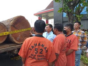 Polda Sumsel Grebek Gudang Kayu Penebangan Ilegal