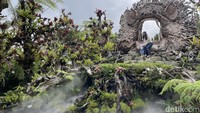 Sebagai pecinta spot foto yang instagramable, pengunjung tidak akan melewatkan keindahan dari spot foto Sari Timbul Glass Factory. Penjaga tempat ini pun menyambut ramah setiap pengunjung dan menjelaskan filosofi di setiap spot foto yang indah.