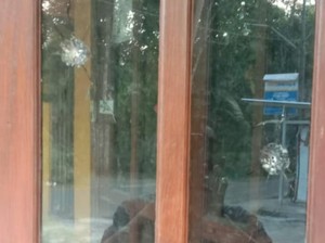 Teror Rentetan Tembakan Misterius di Panjatan Kulon Progo