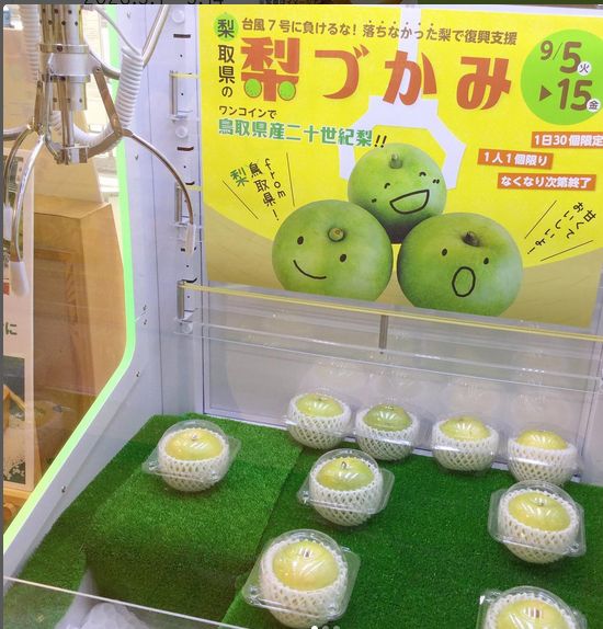Bukan Boneka, Mesin Capit di Jepang Ini Hadiahnya Buah Pir Mahal
