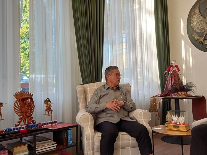 Duta Besar RI untuk Belanda Mayerfas