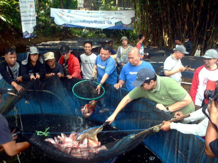 Jurnalis Mancing Indonesia Gelar Panen Raya Budidaya Ikan Nila