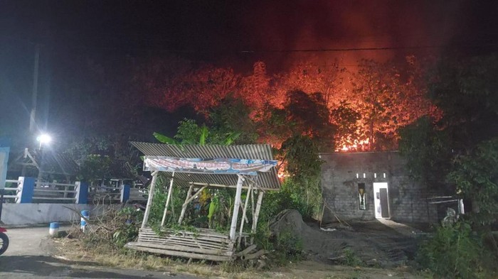 kebakaran hutan di blitar