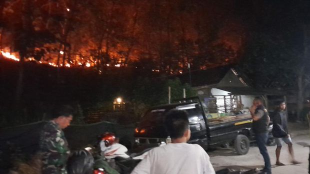 kebakaran hutan di blitar