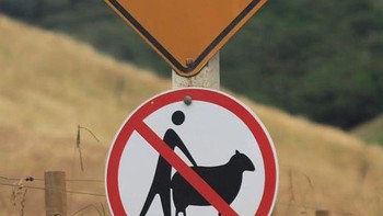Jalan ini dikhususkan untuk kerbau, jika ada manusia berjalan itu dilarang. (Foto: Boredpanda)