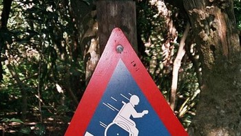 Awas ada buaya. (Foto: Boredpanda)