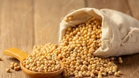 Sempat viral dan bikin banyak orang penasaran, natto asal Jepang punya bau yang menyengat. Teksturnya yang berlendir dapat membuat pencicipnya muntah. Foto: Sports Keeda
