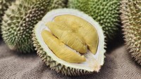 Dikenal sebagai raja buah, ternyata tak semua orang cocok dengan aroma durian. Buah yang banyak penggemarnya ini ternyata menduduki peringkat 1 sebagai makan paling bau di dunia. Foto: Sports Keeda
