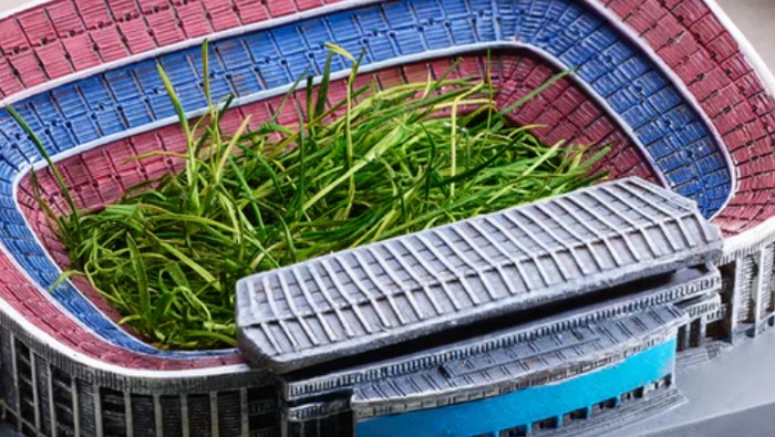 Rumput Camp Nou