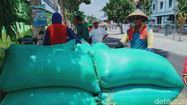 Tumpukan gabah yang usai dipanen di Desa Mrisen, Kecamatan Juwiring, Klaten. Foto diunggah pada Sabtu (9/9/2023).